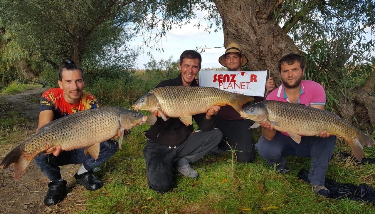 Crapii Sulinei. Vladut Mateianu si un nou recital in Delta Dunarii.